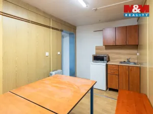 Pronájem výrobních prostor, Dnešice, 694 m2
