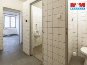 Pronájem výrobních prostor, Dnešice, 694 m2