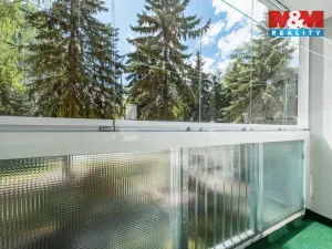 Prodej bytu 2+1, Ústí nad Labem - Neštěmice, Sibiřská, 63 m2