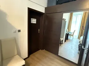 Pronájem bytu 1+kk, Brno, Francouzská, 26 m2
