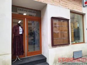 Pronájem obchodního prostoru, Plzeň, Solní, 38 m2