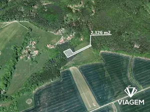 Prodej lesa, Vlkančice, 2326 m2
