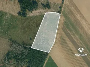 Prodej podílu lesa, Radkovice u Budče, 13197 m2