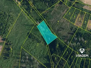 Prodej podílu lesa, Radkovice u Budče, 13197 m2
