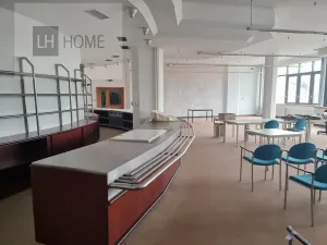 Pronájem kanceláře, Plzeň, 30 m2