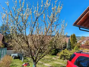 Prodej rodinného domu, Stachy, 250 m2