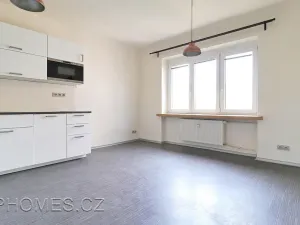 Pronájem bytu 2+1, Praha - Žižkov, Biskupcova, 81 m2