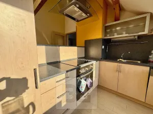 Pronájem bytu 3+kk, Velké Opatovice, Sokolská, 195 m2