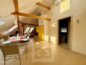 Pronájem bytu 3+kk, Velké Opatovice, Sokolská, 195 m2