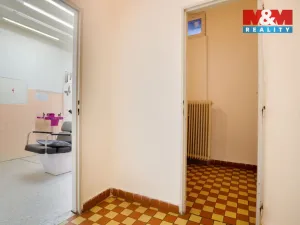 Prodej obchodního prostoru, Chomutov, Palackého, 159 m2