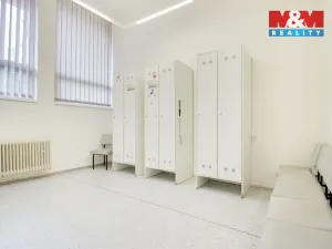 Prodej obchodního prostoru, Chomutov, Palackého, 159 m2