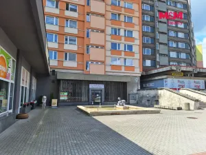 Prodej obchodního prostoru, Chomutov, Palackého, 159 m2