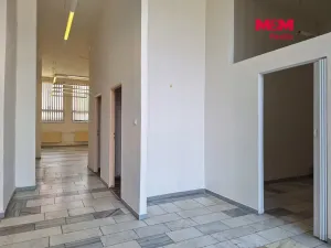 Prodej obchodního prostoru, Chomutov, Palackého, 159 m2