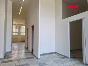 Prodej obchodního prostoru, Chomutov, Palackého, 159 m2