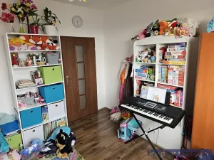 Pronájem bytu 3+1, Hradec Králové, Pod Strání, 74 m2