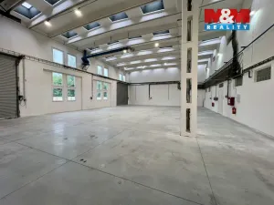 Pronájem výrobních prostor, Město Albrechtice, L. Janáčka, 410 m2