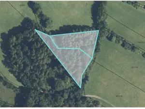 Prodej podílu lesa, Postřelmůvek, 5208 m2