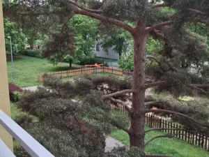 Prodej bytu 2+1, Praha - Záběhlice, Jasmínová, 53 m2