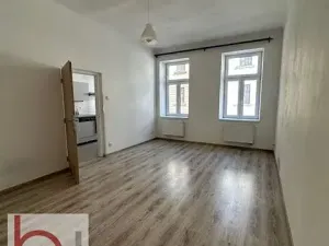 Pronájem bytu 1+1, České Budějovice, Matice školské, 40 m2