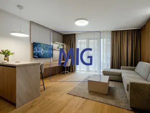 Pronájem bytu 1+kk, Brno, Bratislavská, 45 m2