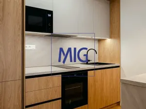 Pronájem bytu 1+kk, Brno, Bratislavská, 45 m2