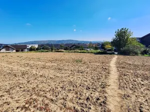 Prodej pozemku pro bydlení, Hrušovany u Brna, Pod Střediskem, 875 m2