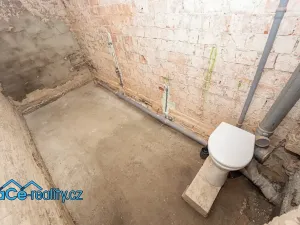 Prodej rodinného domu, Žďár nad Orlicí, 172 m2
