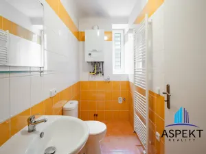 Pronájem bytu 1+1, Praha - Podolí, U podolského hřbitova, 30 m2
