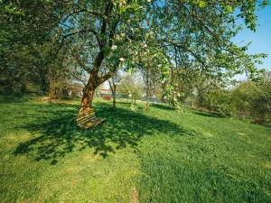 Prodej zahrady, Suchonice, 1301 m2
