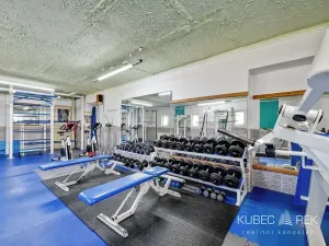 Prodej komerční nemovitosti, Soběslav, 514 m2