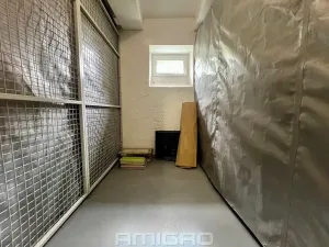 Prodej bytu 1+1, Brno, Merhautova, 48 m2