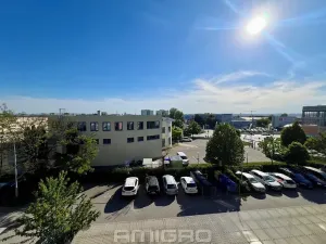 Prodej bytu 1+kk, Brno, Blažovická, 38 m2