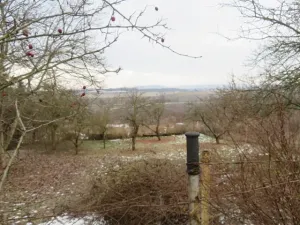 Prodej rodinného domu, Podbořany, 150 m2