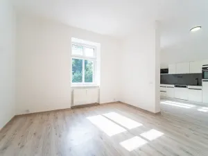 Pronájem bytu 1+1, Praha - Libeň, Pod Labuťkou, 40 m2