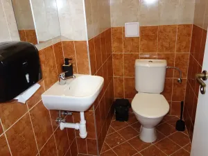 Pronájem obchodního prostoru, Brno, Údolní, 104 m2