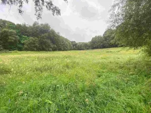 Prodej pole, Úterý - Vidžín, 11289 m2