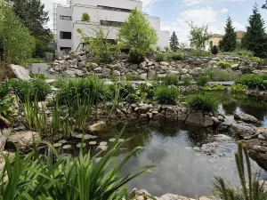 Pronájem bytu 4+kk, Brno, Lipová, 102 m2
