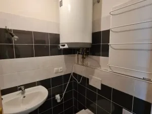 Pronájem bytu 1+kk, Dolní Loučky, 34 m2