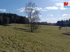 Prodej louky, Janův Důl, 2749 m2