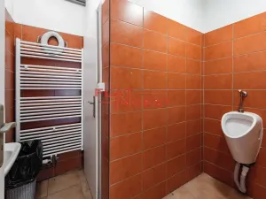Prodej restaurace, Lety, Na skalkách, 150 m2