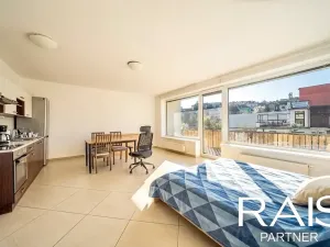 Prodej bytu 2+kk, Brno, Hálkova, 55 m2