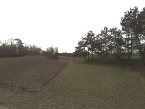 Prodej louky, Žehušice, 3914 m2