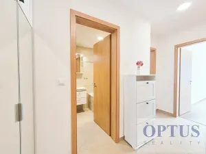 Pronájem bytu 2+kk, Praha - Chodov, Drahňovická, 59 m2