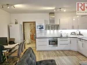 Pronájem bytu 1+kk, Plzeň, U Borských kasáren, 40 m2