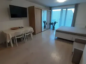 Pronájem bytu 1+kk, Praha - Žižkov, Hartigova, 37 m2