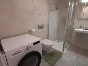 Pronájem bytu 1+kk, Praha - Žižkov, Hartigova, 37 m2