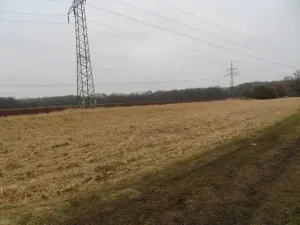 Dražba pole, Tišice, 1831 m2