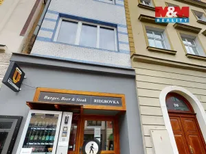 Prodej obchodního prostoru, Olomouc, Riegrova, 890 m2