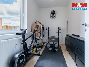 Prodej bytu 5+kk, České Budějovice - České Budějovice 2, Netolická, 84 m2