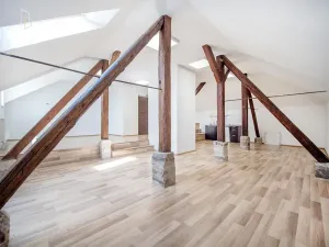 Prodej rodinného domu, Mladá Boleslav, Ptácká, 305 m2